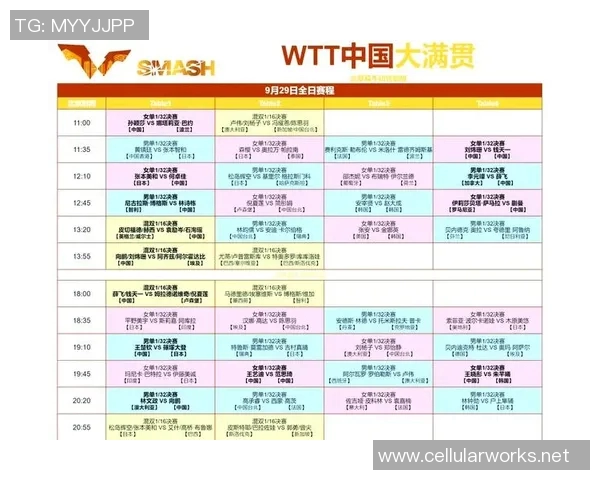 成都羽毛球队战术解析与表现评估大满贯赛事回顾 成都羽毛球队战术解析与表现评估大满贯赛事回顾