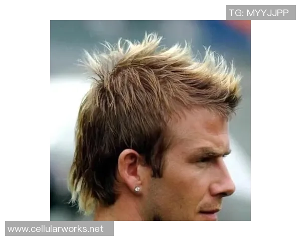 探索足球明星的魅力发型谁的造型最吸引眼球与众不同