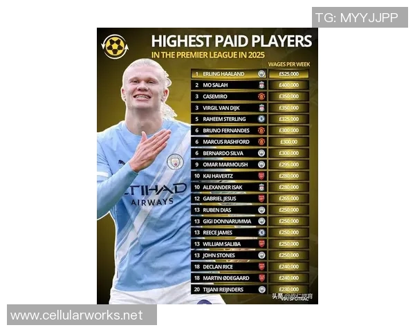 荷兰足球明星最新身价排名揭晓谁是最值钱的球员 荷兰足球明星最新身价排名揭晓谁是最值钱的球员