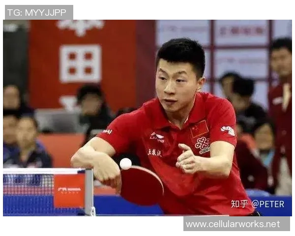 西安乒乓球队的反击策略与深度分析探秘之旅 西安乒乓球队的反击策略与深度分析探秘之旅