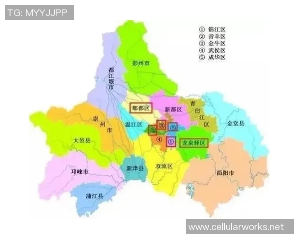 赛后分析:南京篮球队与成都篮球队的战术对决与表现评估 赛后分析:南京篮球队与成都篮球队的战术对决与表现评估