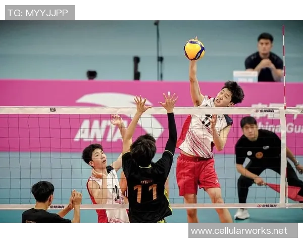 重庆排球队的奋斗历程与奥运梦想的追逐之路 重庆排球队的奋斗历程与奥运梦想的追逐之路