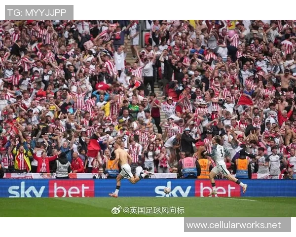 黑猫足球明星盘点及其在足球界的影响与成就分析 黑猫足球明星盘点及其在足球界的影响与成就分析