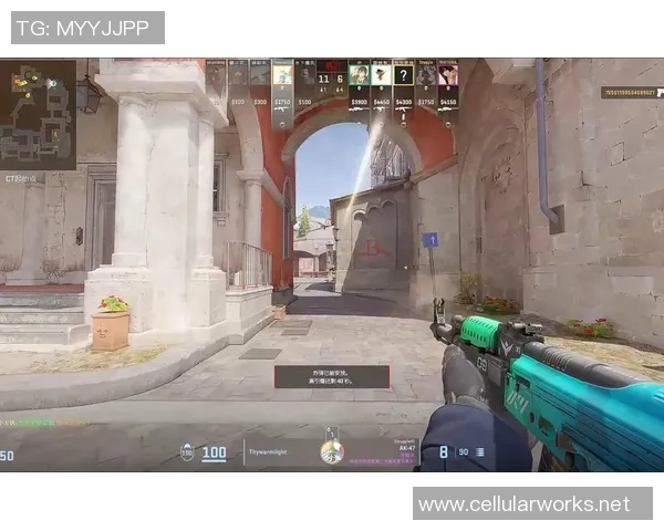 CS_GO纪实:记录JDG的转型之路 CS_GO纪实:记录JDG的转型之路