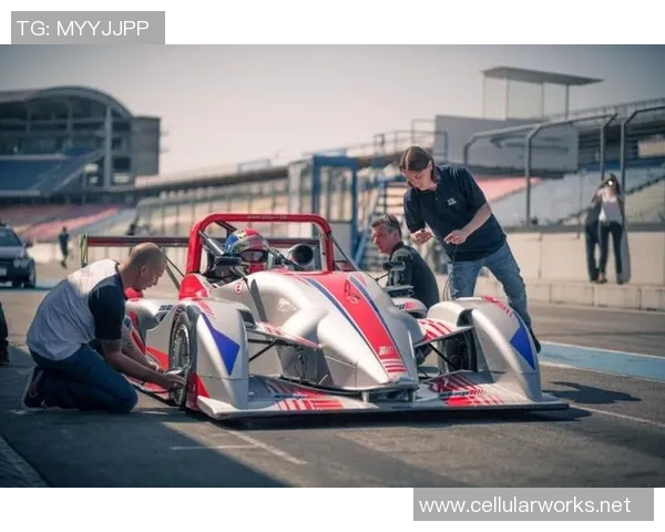 数据分析：武汉极限运动队的配合表现