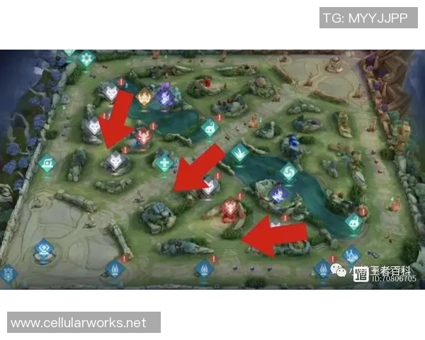 王者荣耀热点：解读RNG的区域防守