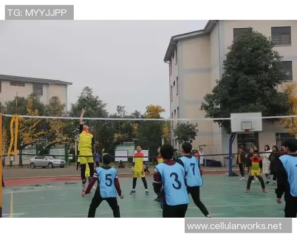 陈丽独家：分享篮球心得