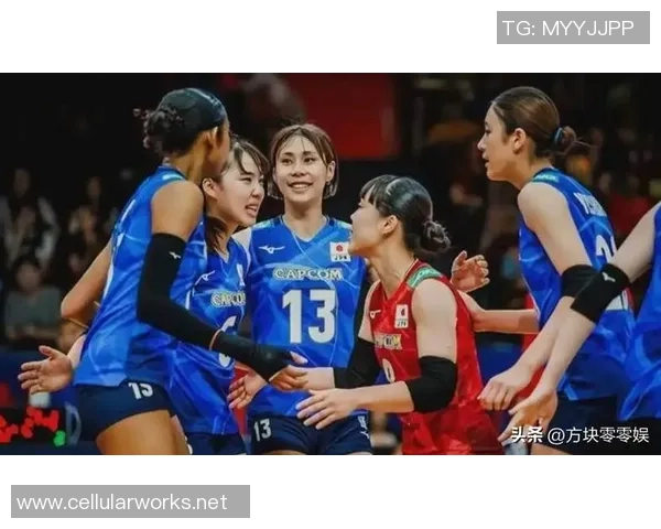 2026排球战术排行榜：南京排球队位居第3名