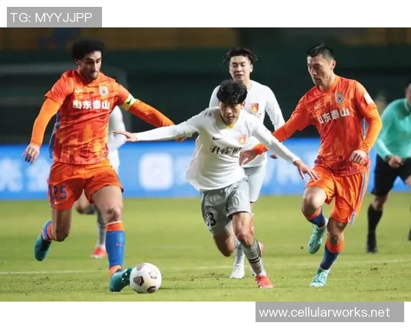 张丽独家:分享足球心得 张丽独家:分享足球心得