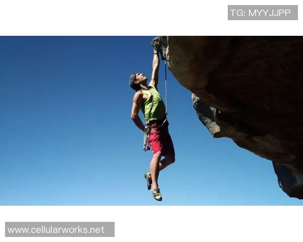 数据分析：南京攀岩队的耐力表现