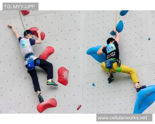 2026攀岩灵活性排行榜：重庆攀岩队位居第2名