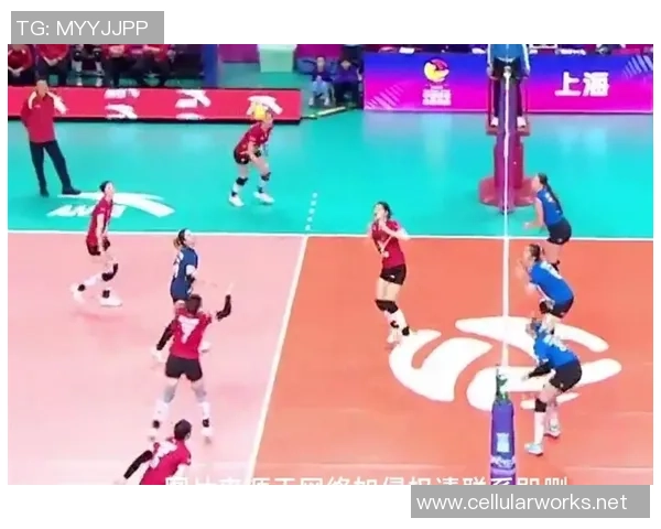 排球热议：上海排球队的力量争议
