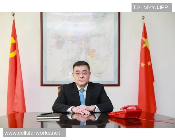 深度对话:张军的篮球人生