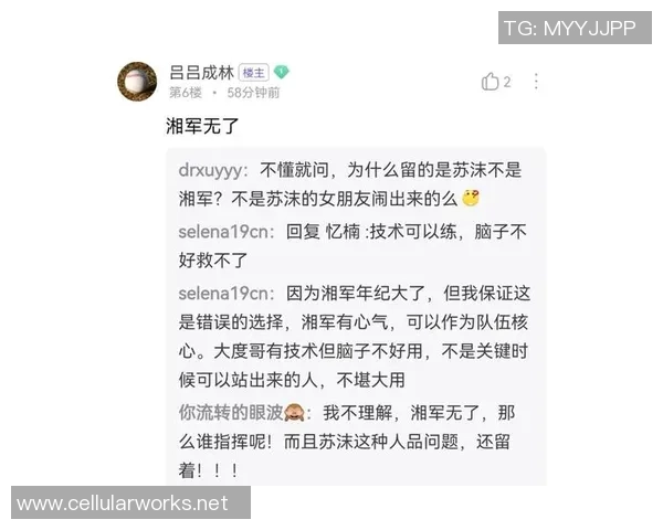 王者荣耀评论:TES的转换得失