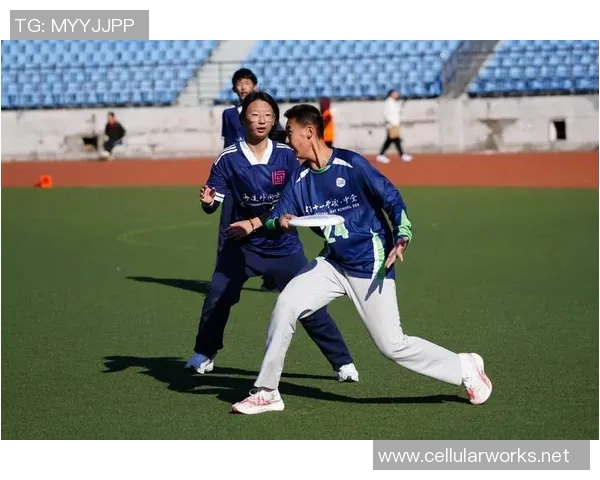 飞盘战术:北京飞盘队的中路突破体系