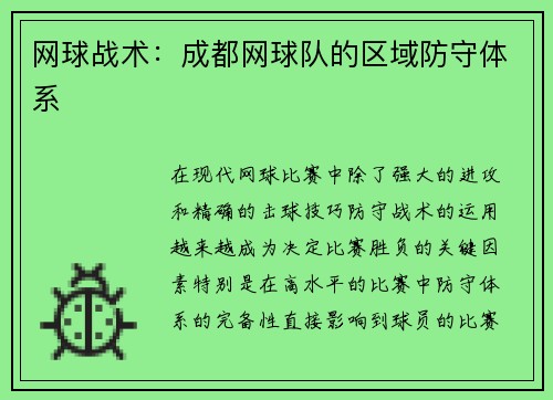 网球战术：成都网球队的区域防守体系