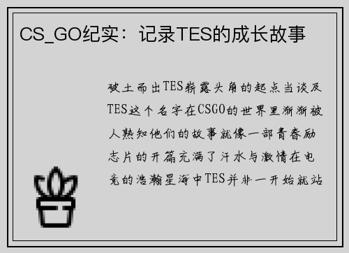 CS_GO纪实：记录TES的成长故事
