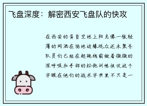 飞盘深度：解密西安飞盘队的快攻